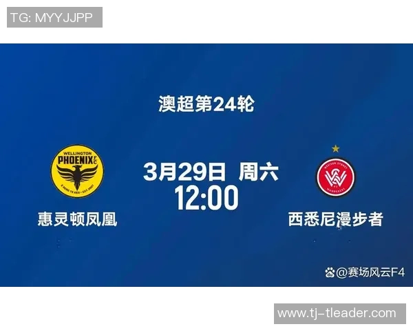威灵顿凤凰主场迎战悉尼足球队争夺胜利的精彩对决即将上演