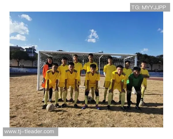 新泻天鹅迎战栎木FC决战赛场展现足球激情与团队精神