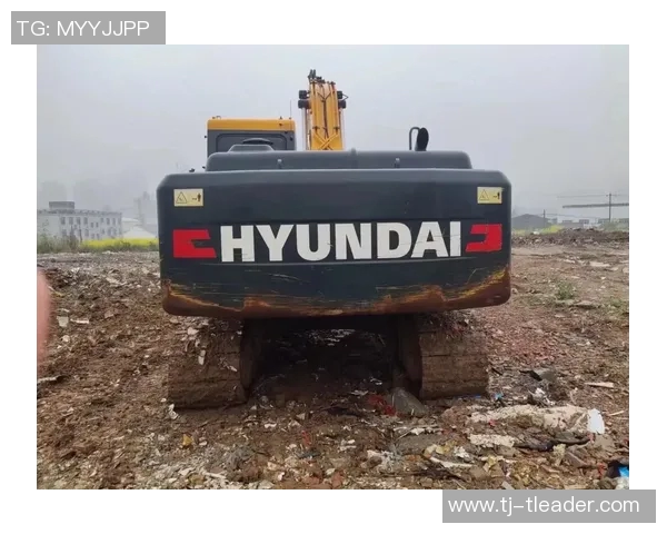 现代215Vs跑表技巧与实用经验分享，助你轻松掌握驾驶节奏与性能优化