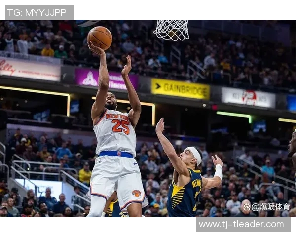 2009年NBA季后赛回顾尼克斯队的辉煌与挑战分析