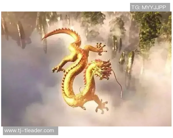 可兰白克的传奇人生与不屈精神探秘之旅