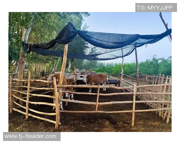 塔什干棉农与汽车城的对决：传统农业与现代工业的碰撞与融合