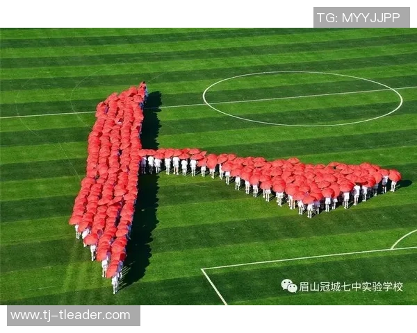 景菡一的成长之路与梦想追寻:在风雨中绽放的青春故事 景菡一的成长之路与梦想追寻:在风雨中绽放的青春故事